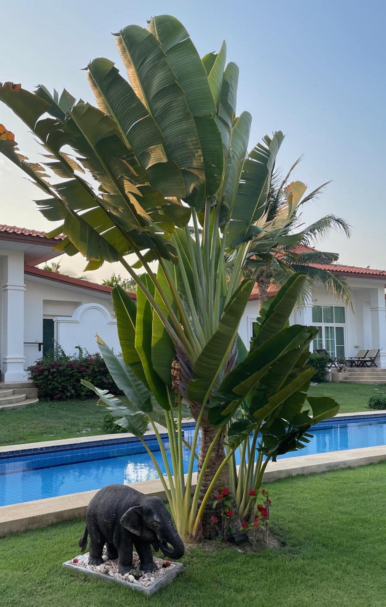 Villa Bougainvillea หัวหิน ภายนอก รูปภาพ